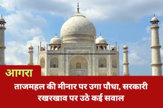 ताजमहल की मीनार पर उगा पौधा, सरकारी रखरखाव पर उठे कई सवाल