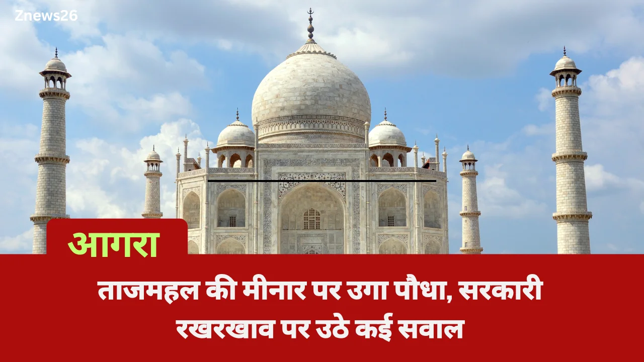 ताजमहल की मीनार पर उगा पौधा, सरकारी रखरखाव पर उठे कई सवाल
